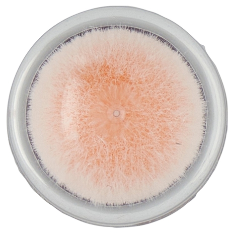 Maybelline New York Il Cancella Età Brightner 05 6,8 ml